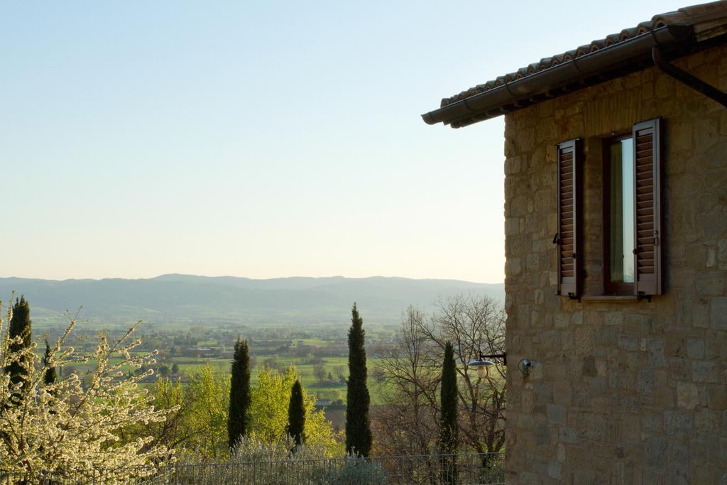 Villa Degli Ulivi Assisi Exteriér fotografie