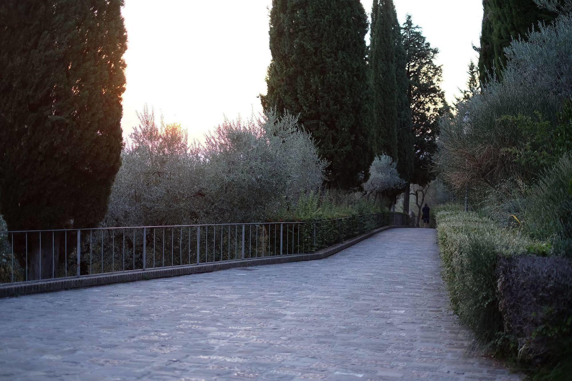 Villa Degli Ulivi Assisi Exteriér fotografie
